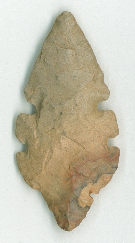 Special Offer £3 Budget Fossils Tidikelt stone arrow head 3000bc 